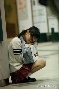 颜茸茸司伯珩的小说免费阅读